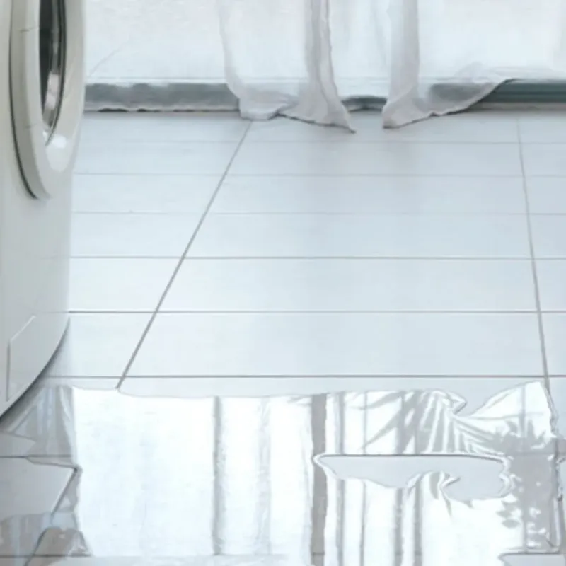 Appliance Leak Cleanup in Eagle Lake, TX